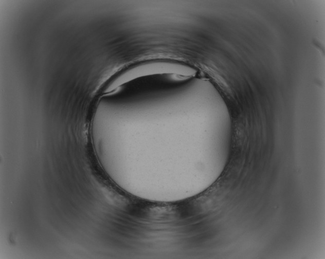 X0000096940160200803071013