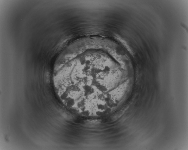 X0000096940161200803071013