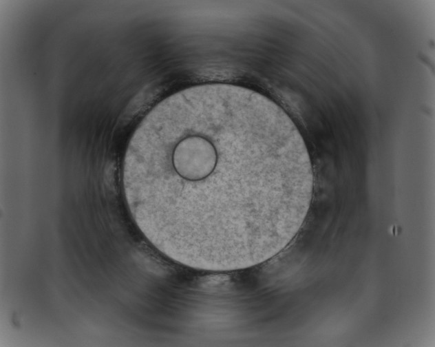 X0000096940162200803071013