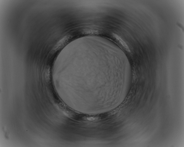 X0000096940163200803071013