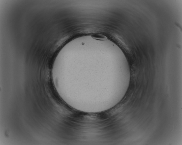X0000096940164200803071013