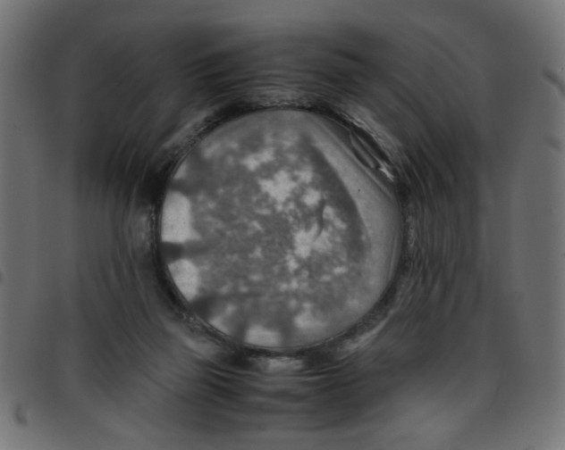 X0000096940165200803071013