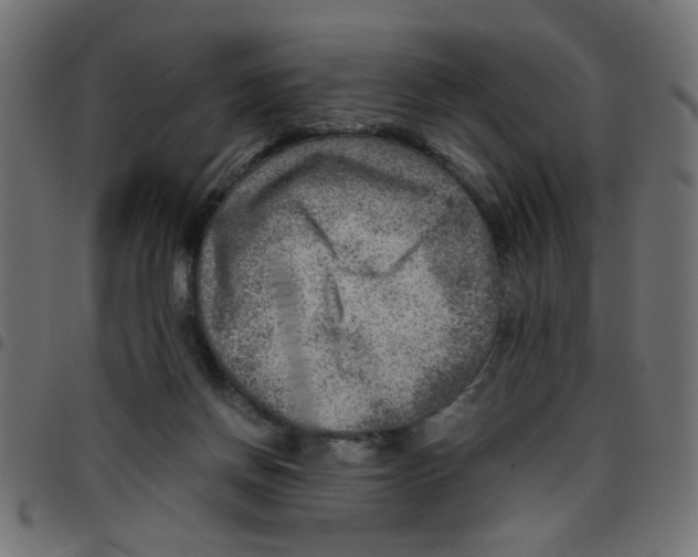 X0000096940166200803071013