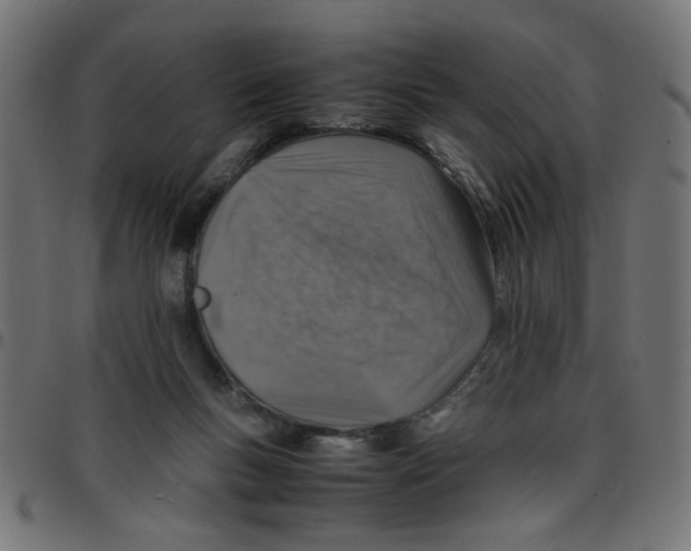 X0000096940167200803071013
