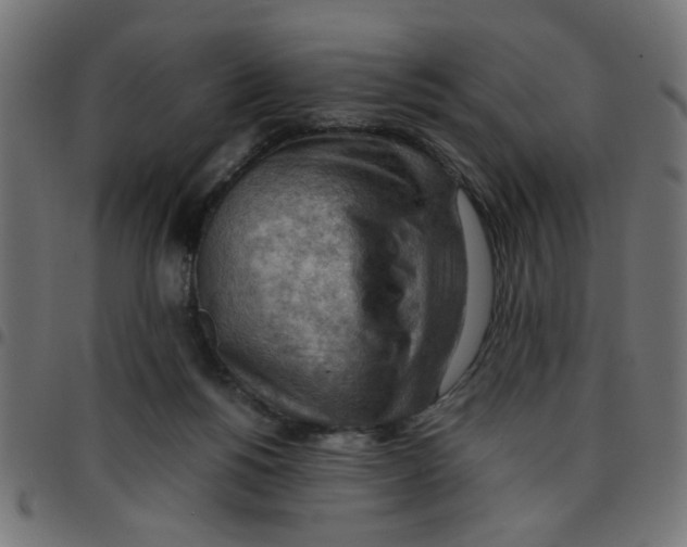 X0000096940168200803071013
