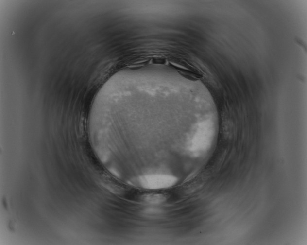 X0000096940169200803071013
