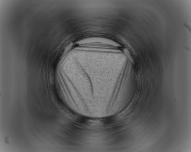 X0000096940170200803071014