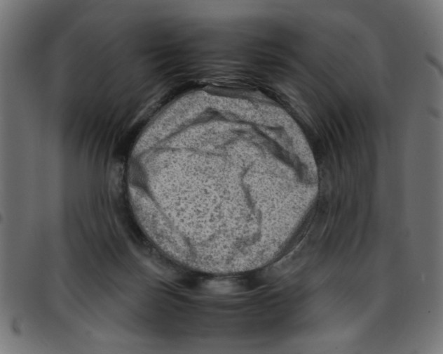 X0000096940171200803071014