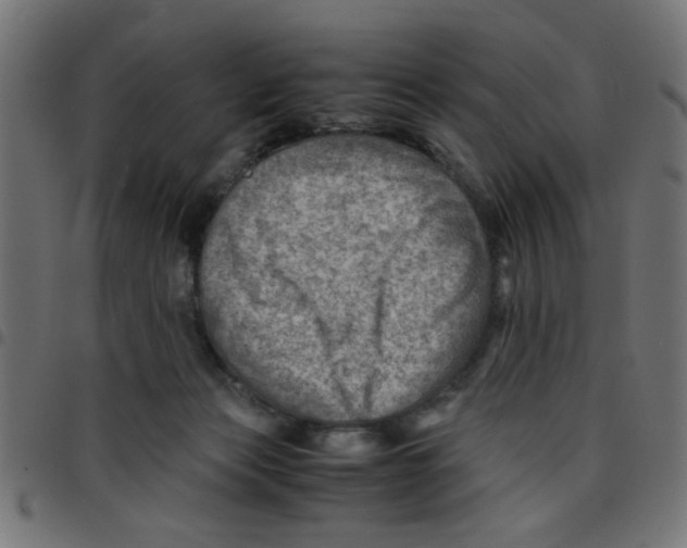 X0000096940173200803071014