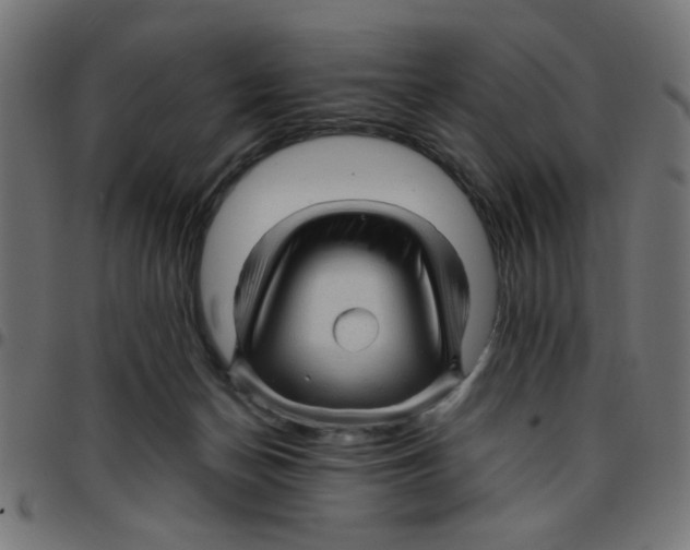 X0000096940174200803071014
