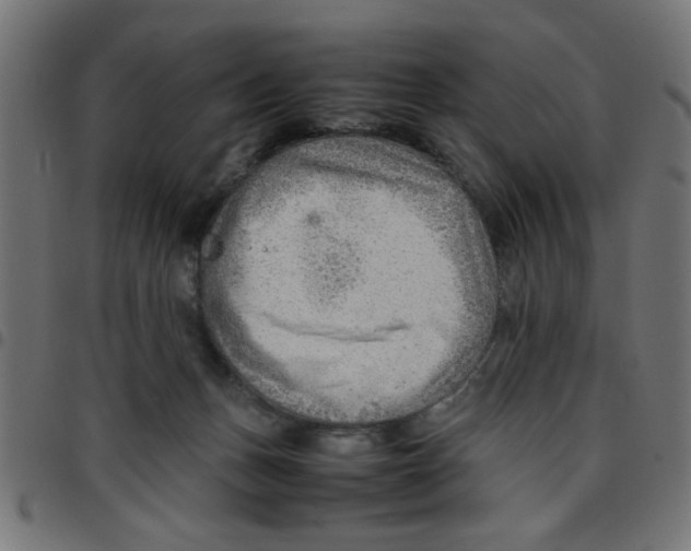 X0000096940175200803071014