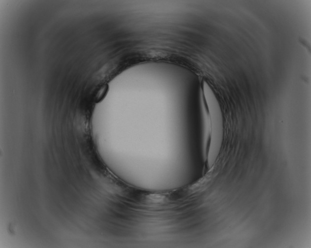 X0000096940176200803071014