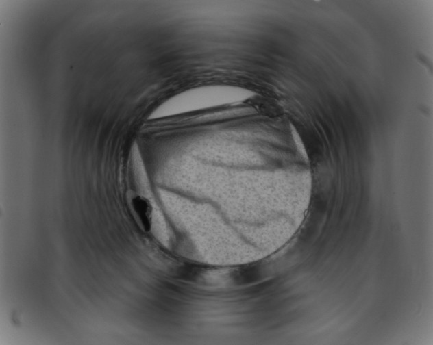 X0000096940178200803071014