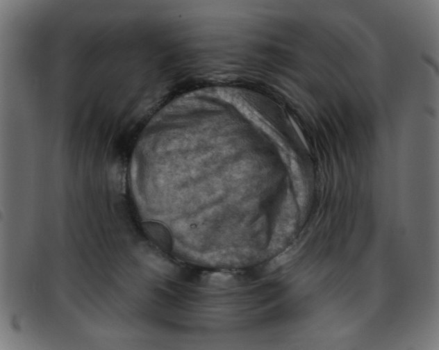 X0000096940180200803071014