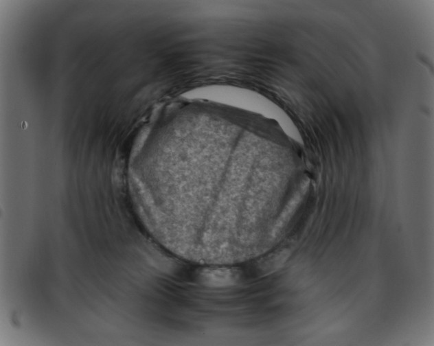 X0000096940181200803071014