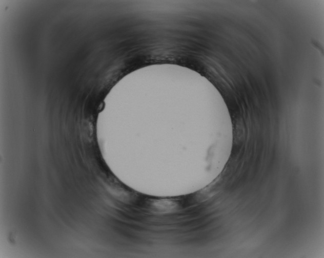 X0000096940183200803071014
