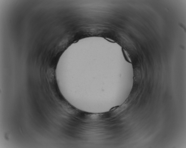 X0000096940184200803071014