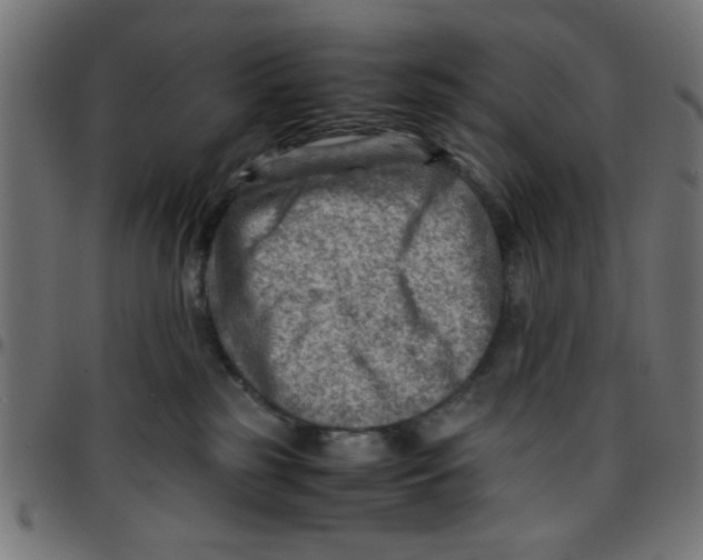 X0000096940185200803071014