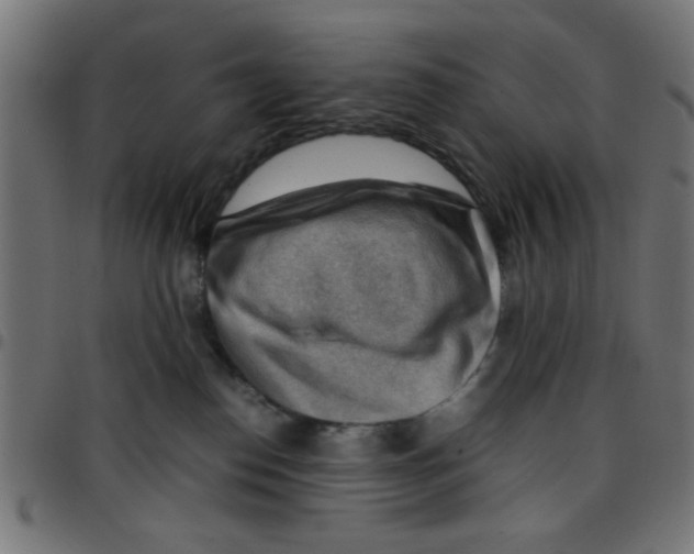 X0000096940186200803071014