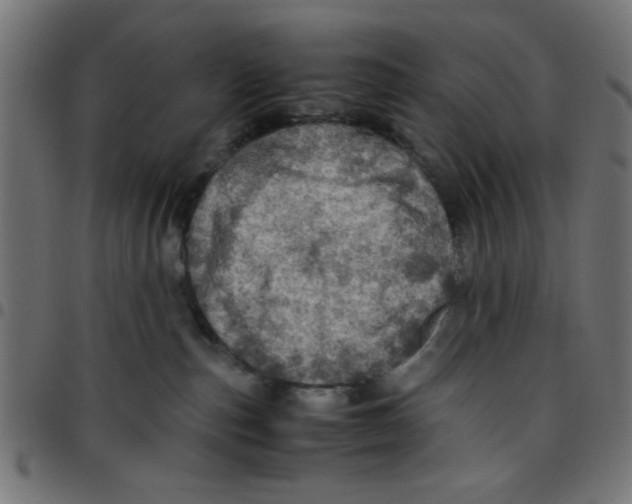 X0000096940187200803071014