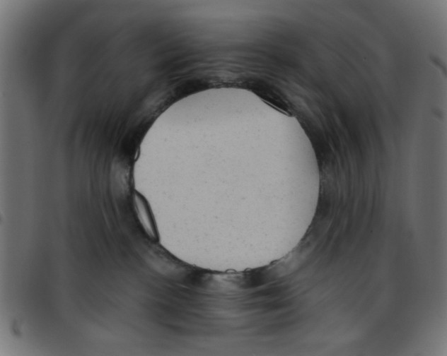X0000096940188200803071014