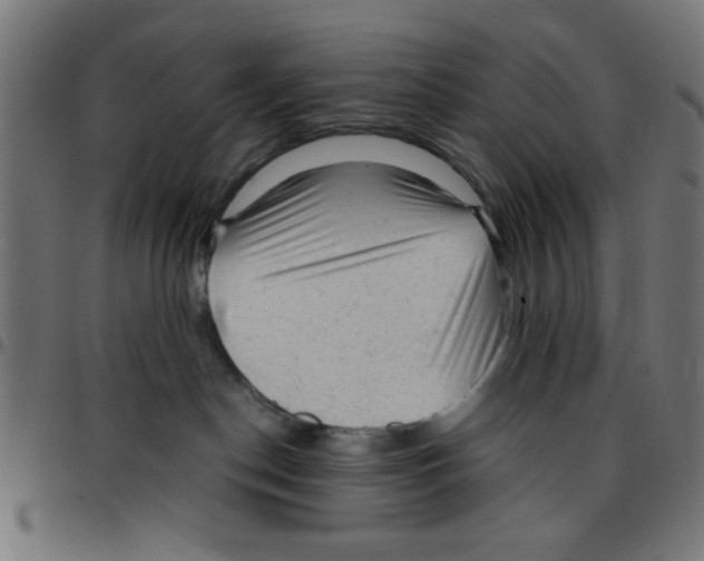 X0000096940190200803071014