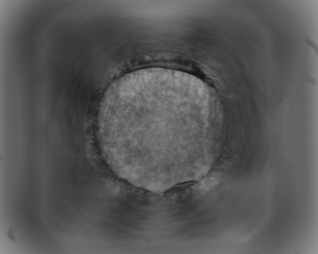 X0000096940192200803071014