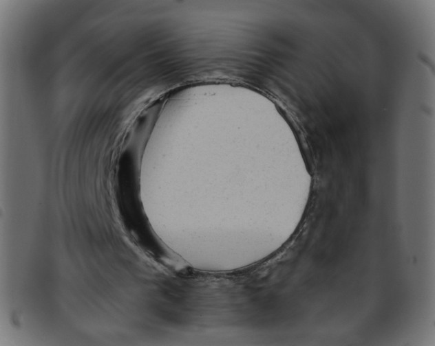 X0000096940193200803071013