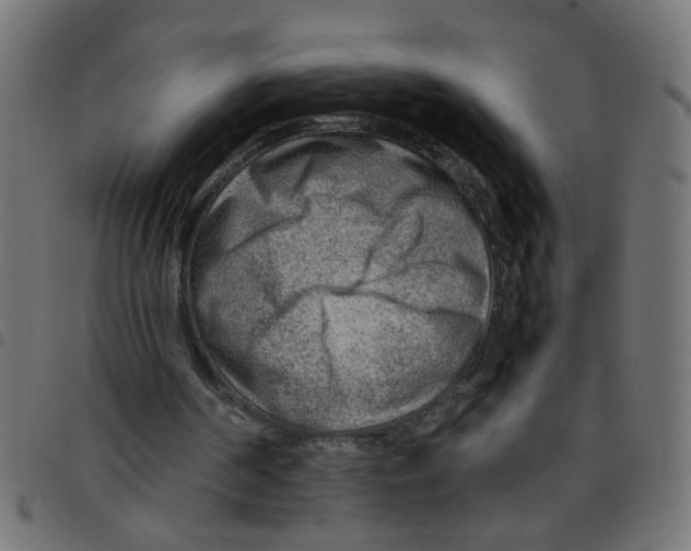X0000096940194200803071013