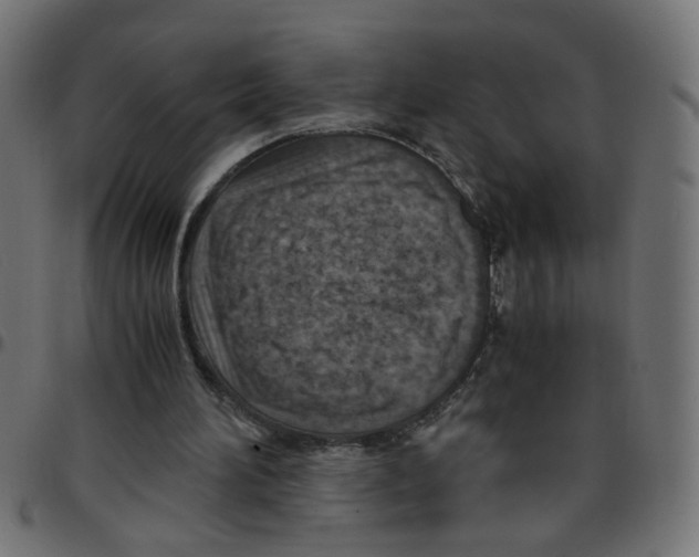 X0000096940196200803071013