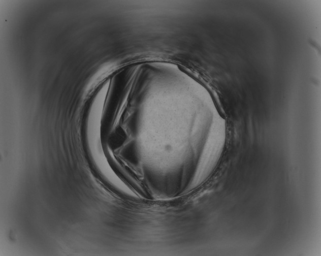 X0000096940197200803071013