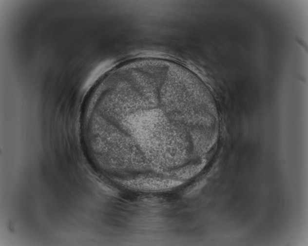 X0000096940199200803071013