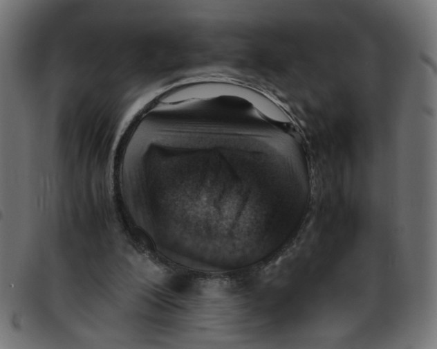 X0000096940200200803071013