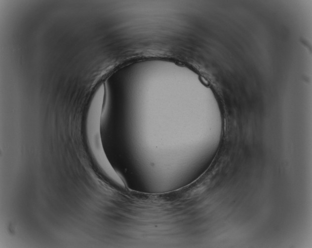 X0000096940201200803071013
