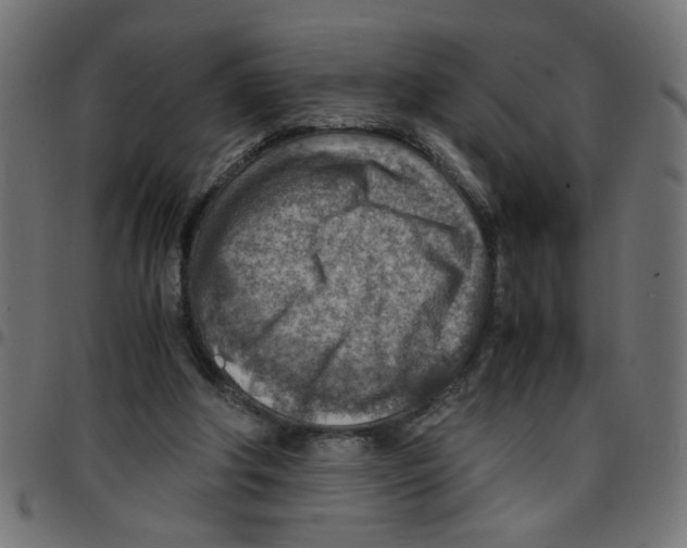 X0000096940202200803071013