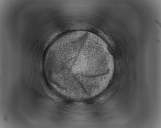 X0000096940203200803071013