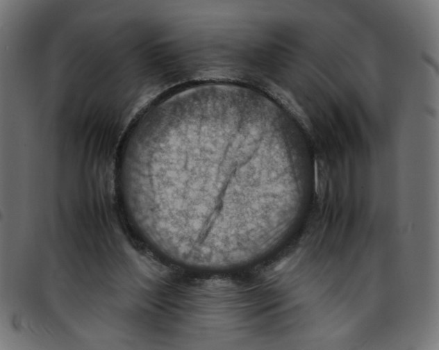 X0000096940204200803071013