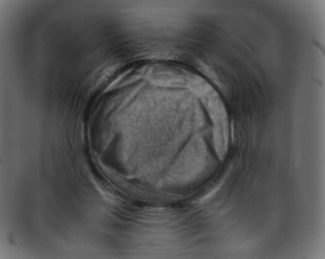 X0000096940205200803071013