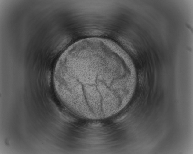 X0000096940206200803071013
