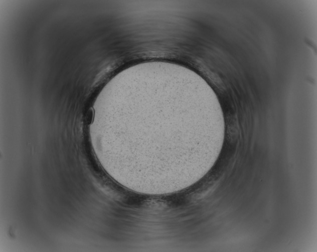 X0000096940207200803071013