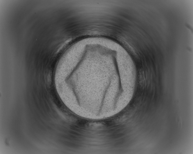 X0000096940208200803071013