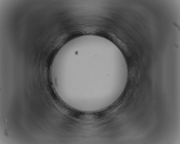 X0000096940209200803071013