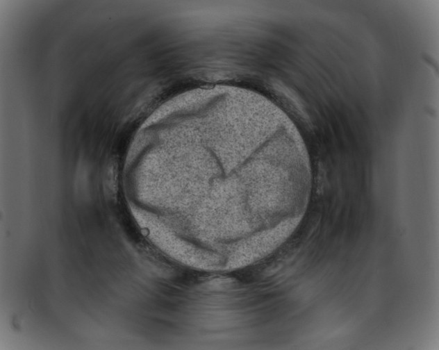 X0000096940210200803071013