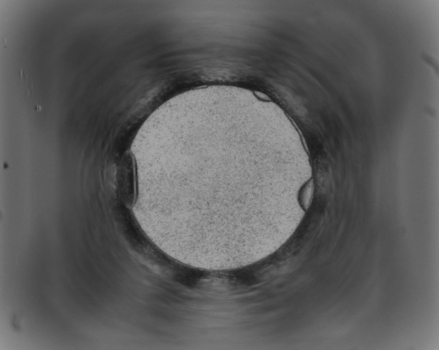 X0000096940211200803071013