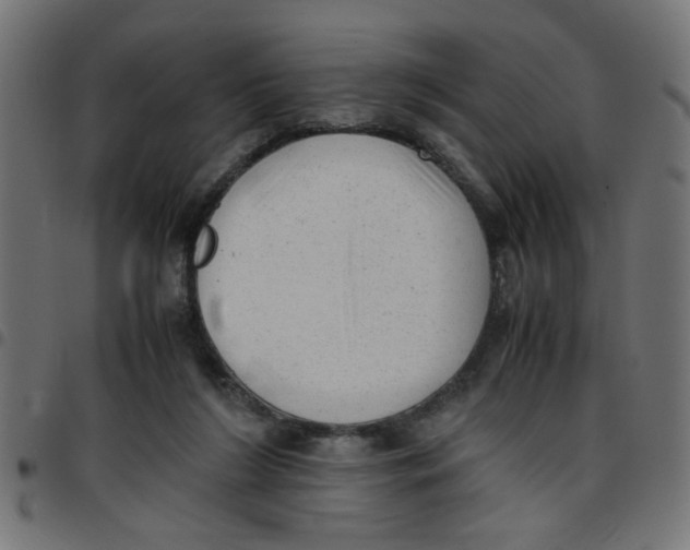 X0000096940212200803071013