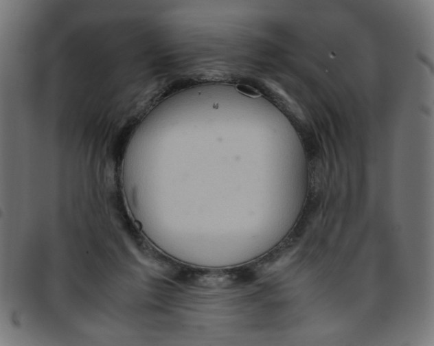 X0000096940213200803071013