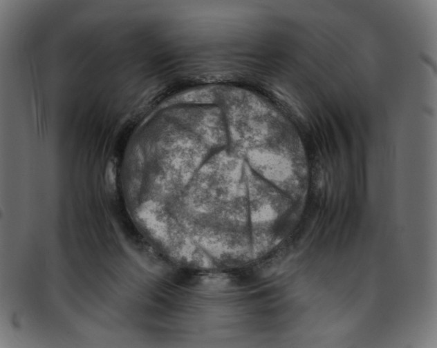 X0000096940214200803071013