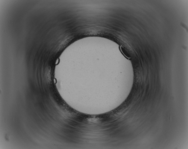 X0000096940216200803071013