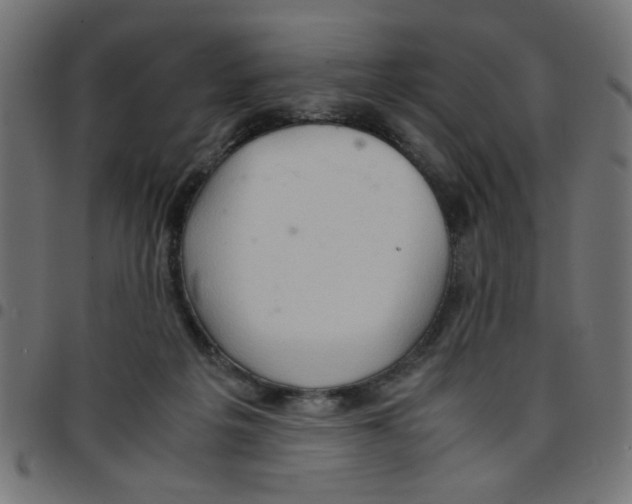 X0000096940217200803071013