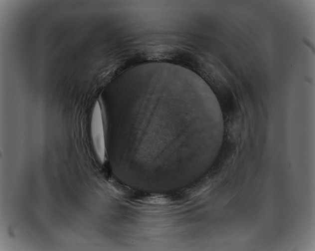 X0000096940219200803071013